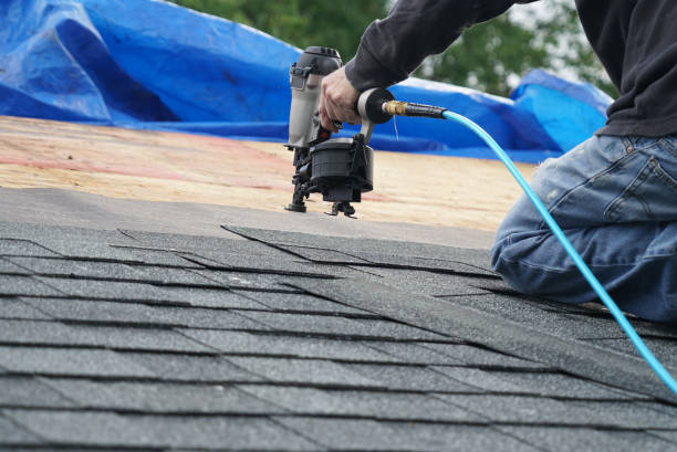 Best Green or Eco-Friendly Roofing Solutions  in Lamont, MI